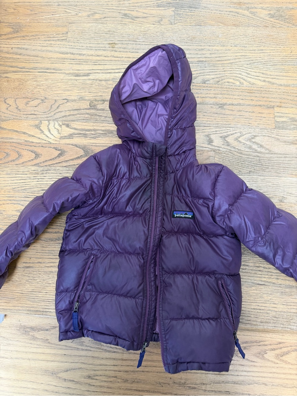 Patagonia Kids Purple Hooded Puffer Jacket